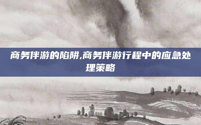 嘉鱼商务伴游的陷阱,商务伴游行程中的应急处理策略